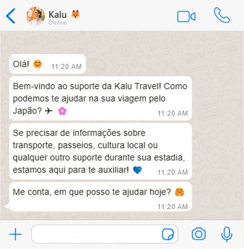 Uma conversa de Whatsapp com a equipe da Kalu auxiliando um cliente.