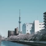 Skytree vista a partir de um rio cercado de cerejeiras.