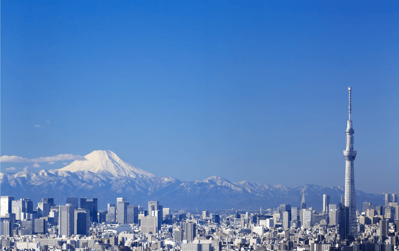 Skyline de Tóquio com o Monte Fuji e a Tokyo Skytree.