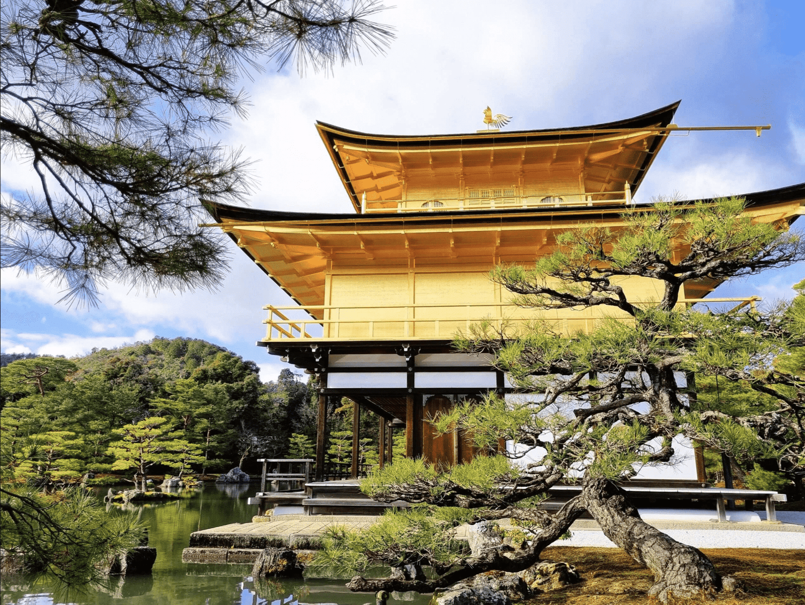 O Kinkakuji, ou Templo do Pavilhão Dourado de Kyoto, revestido de folhas de ouro.