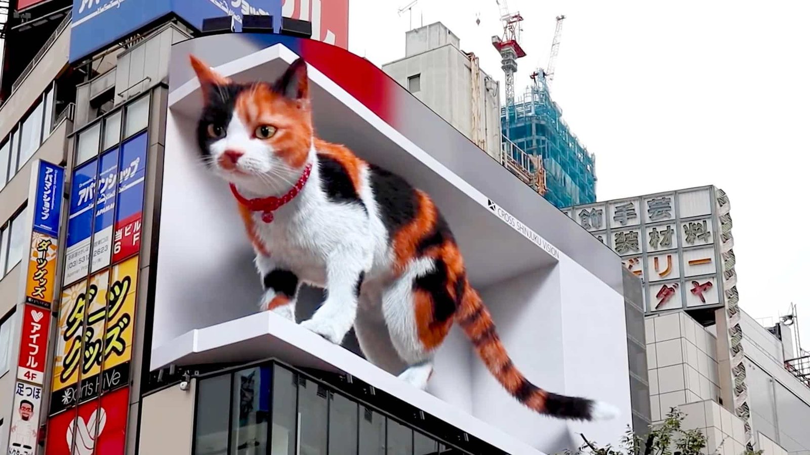 Um gato gigante no letreiro 3D em Shinjuku.