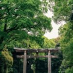 O torii gate em Meiji Jingu, um templo ao lado de Harajuku.