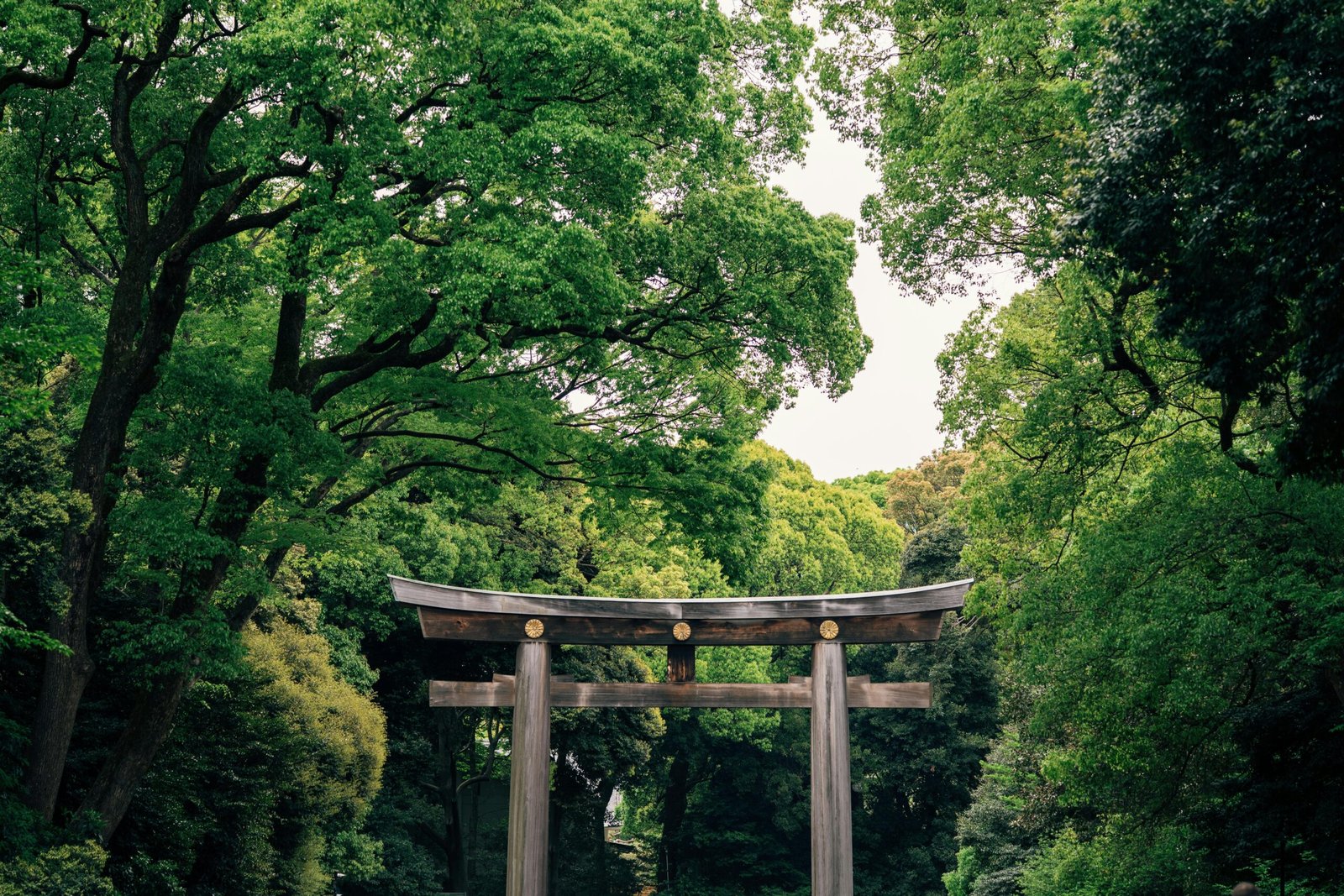 O torii gate em Meiji Jingu, um templo ao lado de Harajuku.
