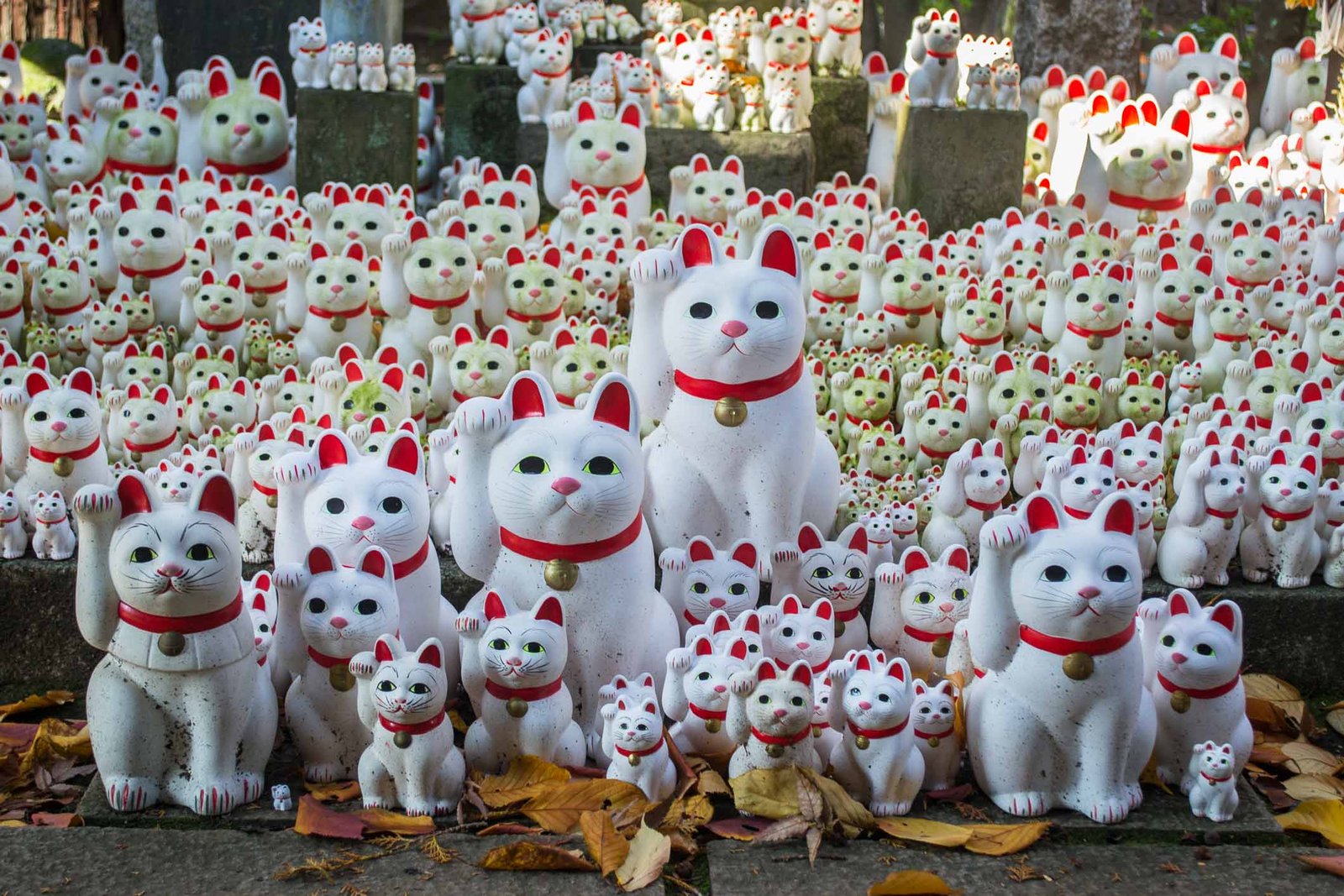 Diversas estátuas de gatos, o maneki-neko, no Templo Gotokuji.