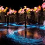 Instalação artística no museu teamLab, telas gigantes exibem flores enquanto pessoas caminham sobre um projeção, onde seus rastros de linhas azuis seguem os seus passos.