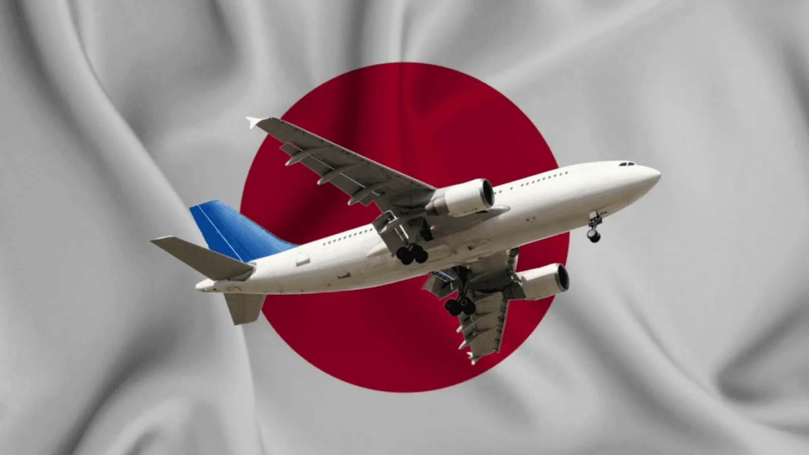 Airplane in front of the Japanese flag