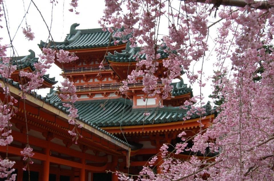 Santuário Heian, cercado de cerejeiras, em Kyoto